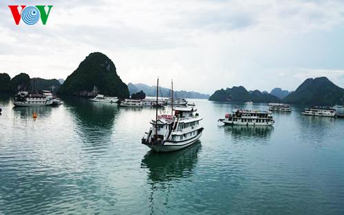 Le Vietnam s’efforce de préserver et de valoriser sa baie d’Halong  